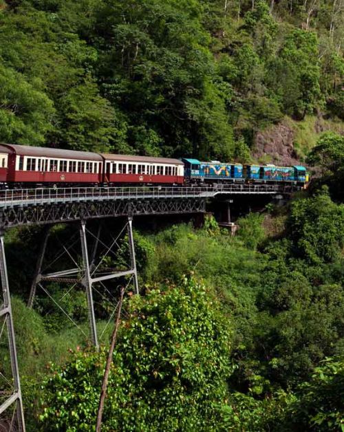 Kuranda Train tour from your Cairns holiday apartment