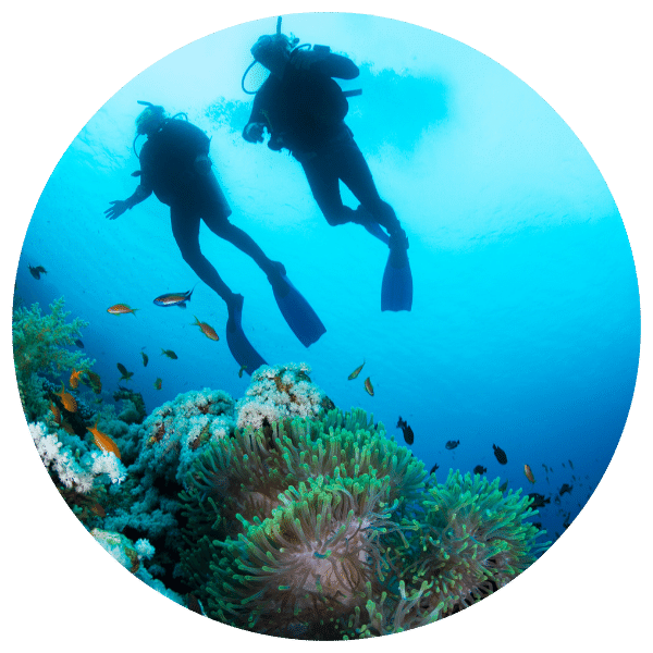 Divers on the Great Barrier Reef near Cairns