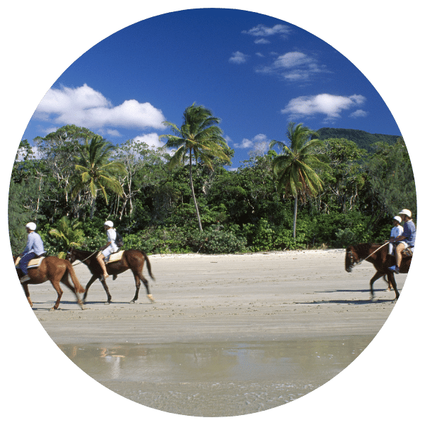 Tourists horse riding along the beautiful beaches of Port Douglas and the Daintree