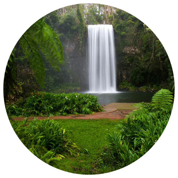 Atherton Tablelands Waterfall