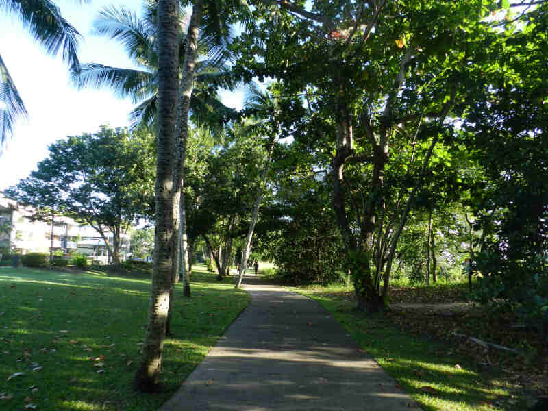 Tree lined path along Yorkeys Knob esplanade