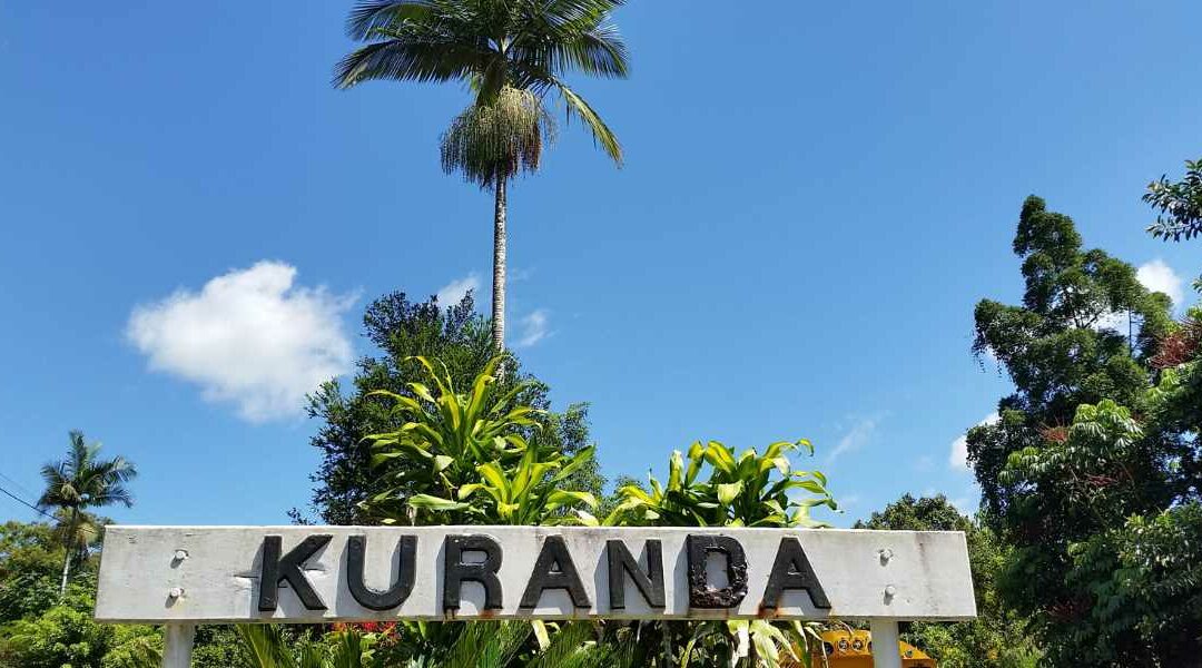 Kuranda signpost with a palm tree backdrop